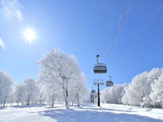 冬を楽しむスキーの魅力と体験